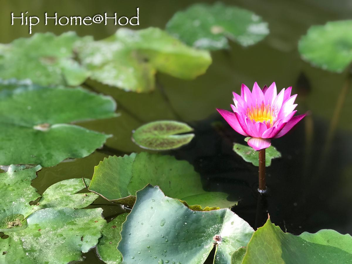 Hip Home At Hod Hot Buitenkant foto